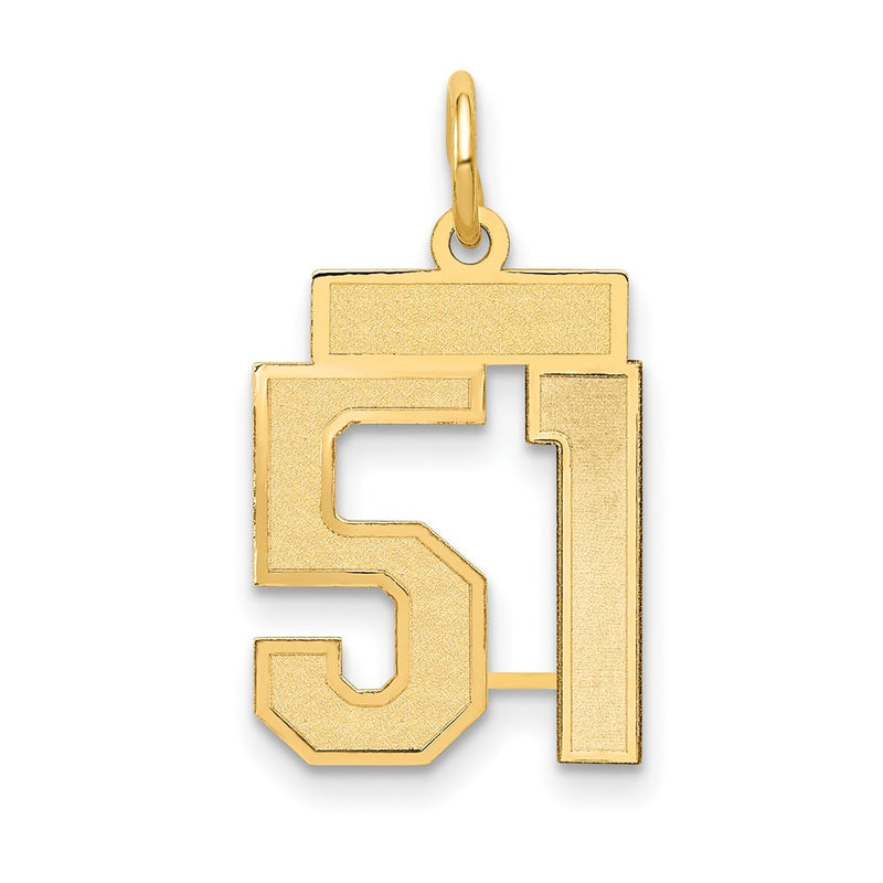 14k Yellow Gold 14k Small Satin Number 51 Charm