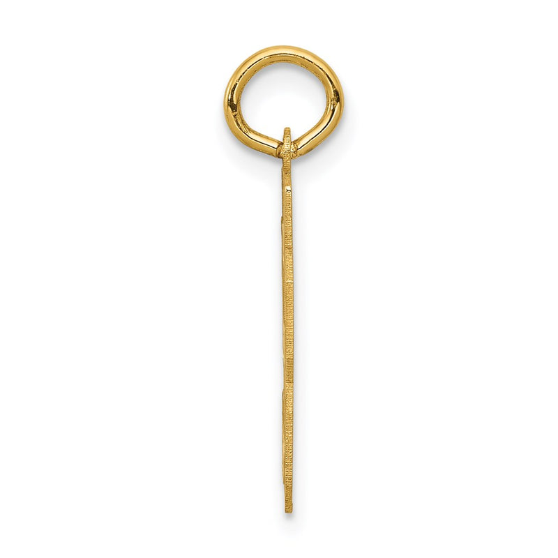 14K Yellow Gold Small Satin Number 53 Charm
