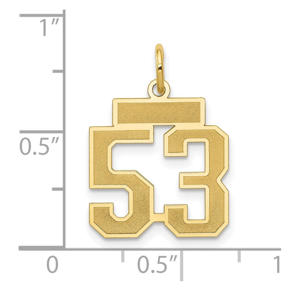 14K Yellow Gold Small Satin Number 53 Charm