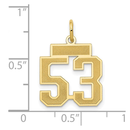 14K Yellow Gold Small Satin Number 53 Charm