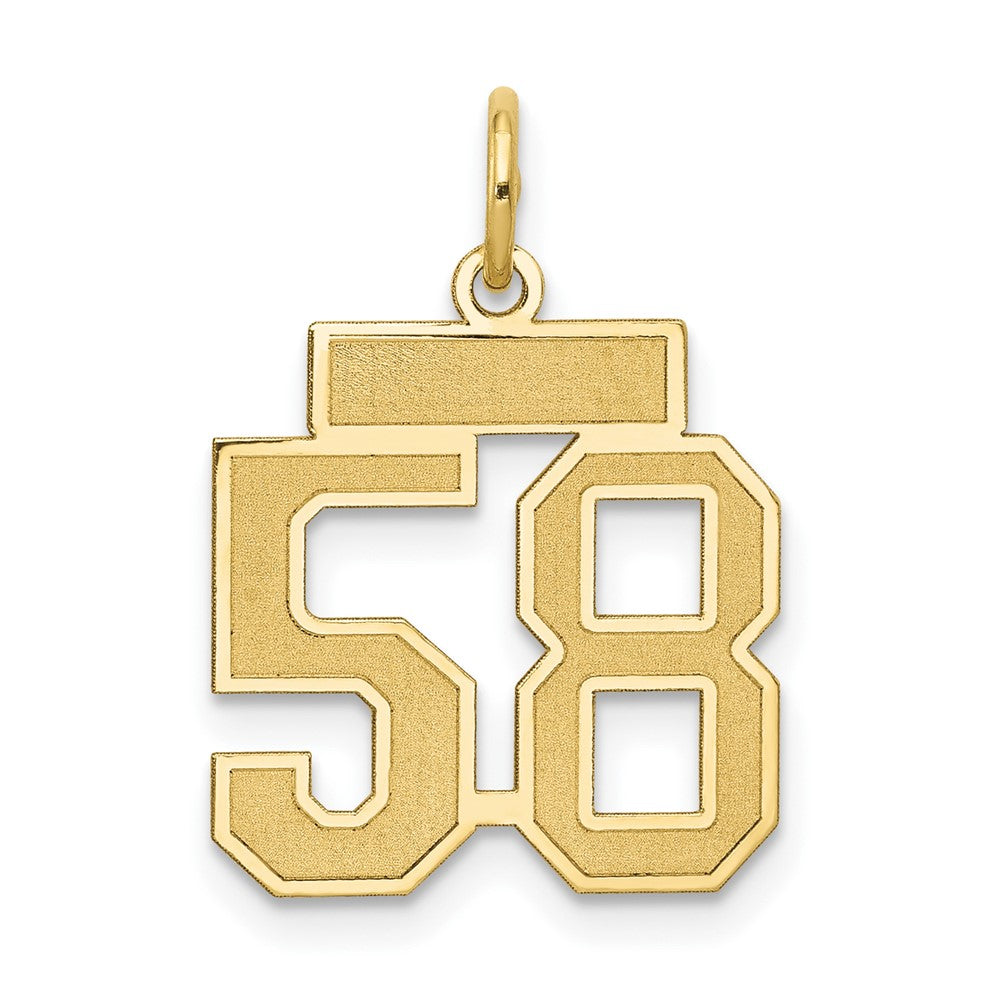10K Yellow Gold Small Satin Number 55 Charm