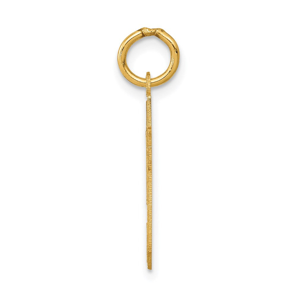 14K Yellow Gold Small Satin Number 59 Charm
