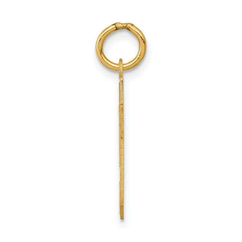 14K Yellow Gold Small Satin Number 59 Charm