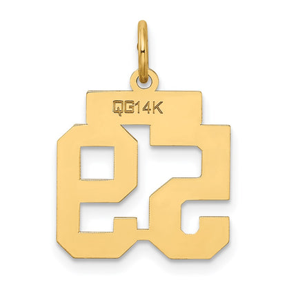 14K Yellow Gold Small Satin Number 59 Charm