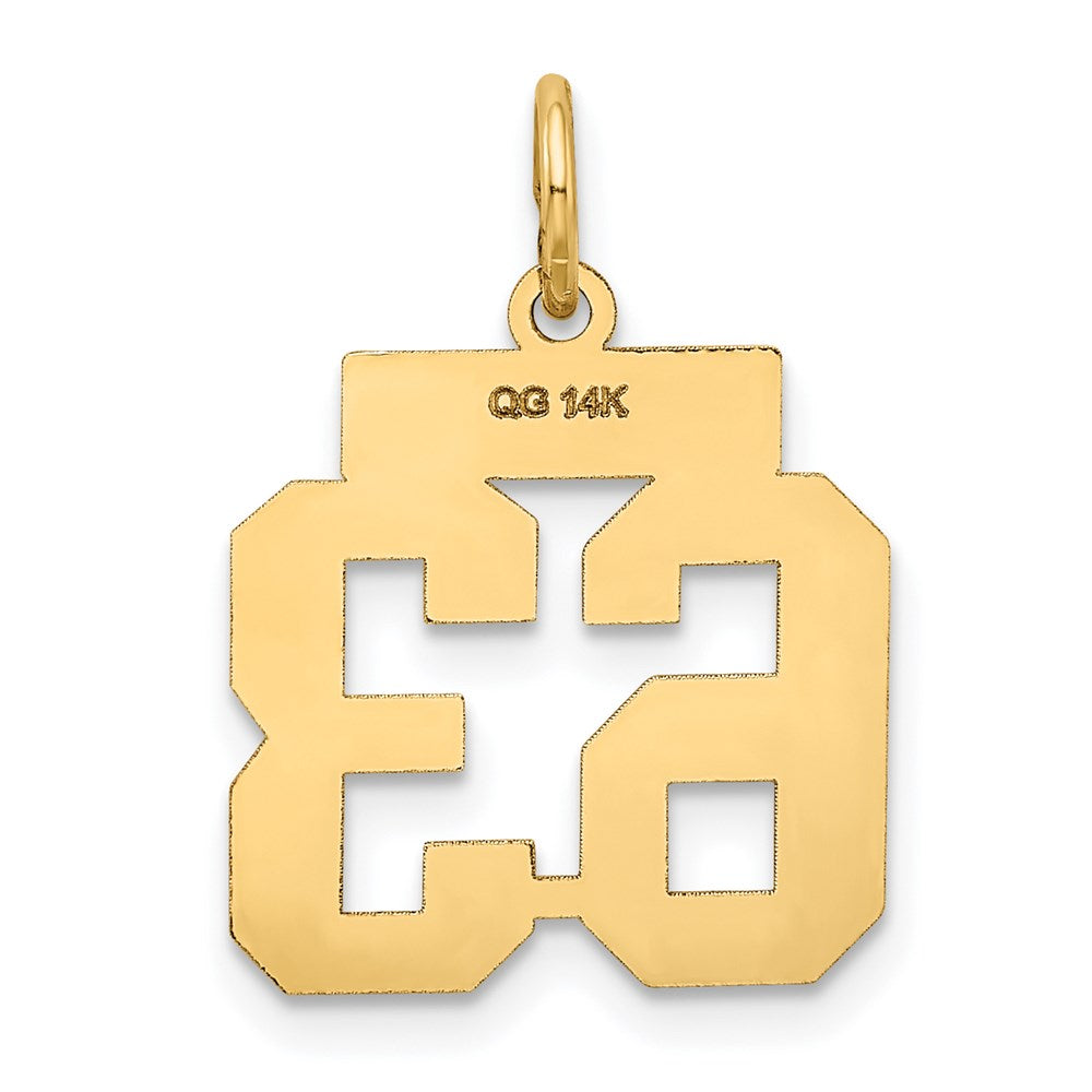 14K Yellow Gold Small Satin Number 63 Charm