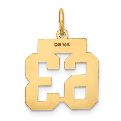 14K Yellow Gold Small Satin Number 63 Charm