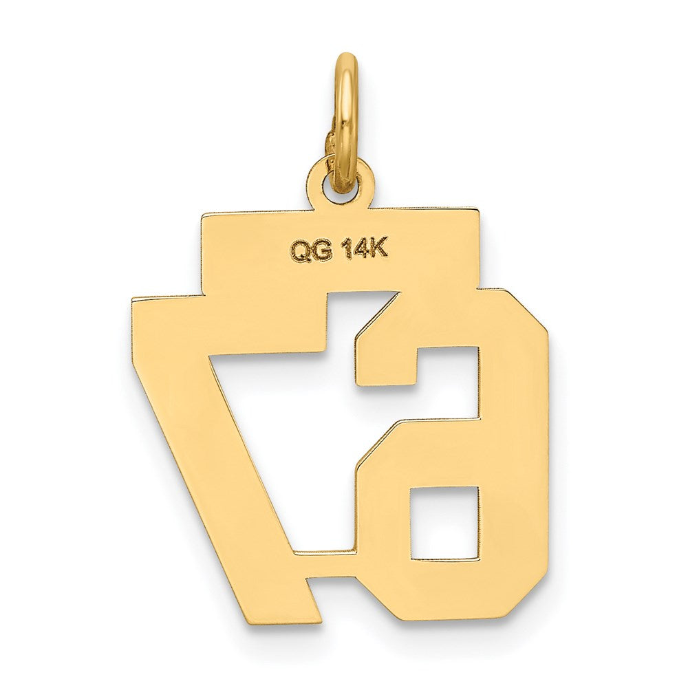 14K Yellow Gold Small Satin Number 67 Charm