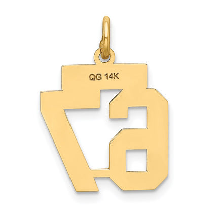 14K Yellow Gold Small Satin Number 67 Charm