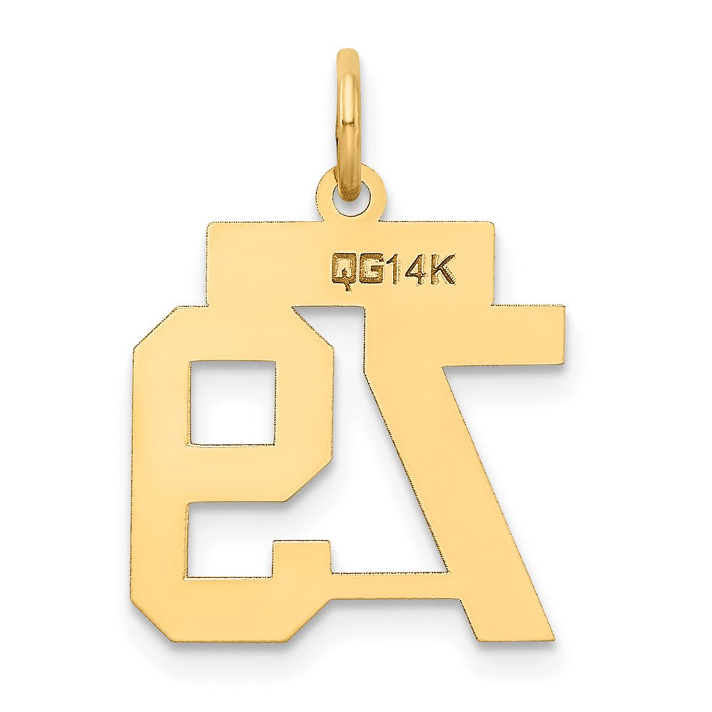 14K Yellow Gold Small Satin Number 79 Charm
