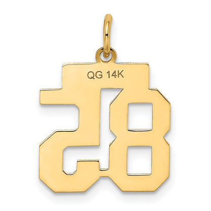 14K Yellow Gold Small Satin Number 85 Charm