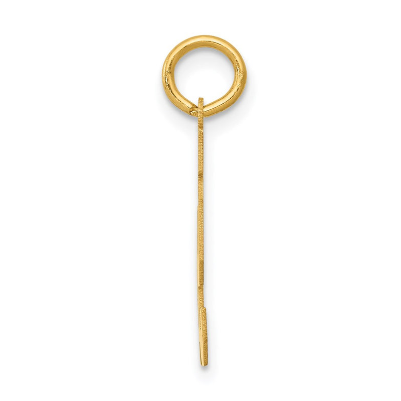 14k Yellow Gold 14k Small Satin Number 91 Charm