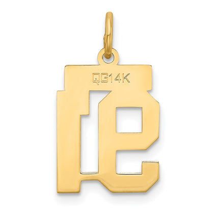 14k Yellow Gold 14k Small Satin Number 91 Charm