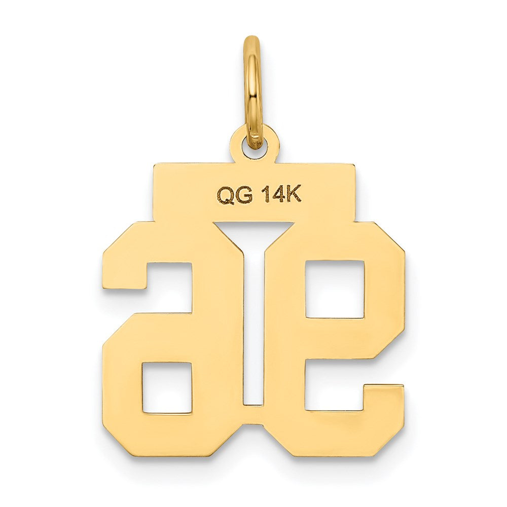 14K Yellow Gold Small Satin Number 96 Charm