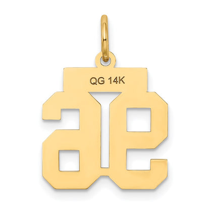14K Yellow Gold Small Satin Number 96 Charm