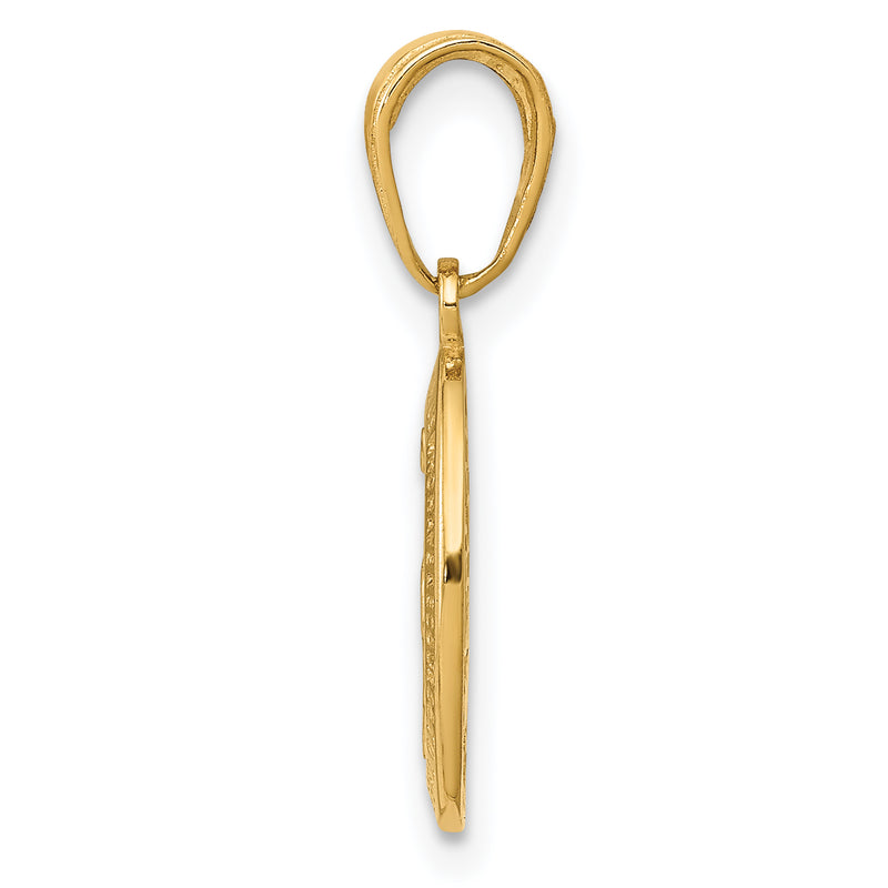 14K Yellow Gold Miraculous Medal Charm