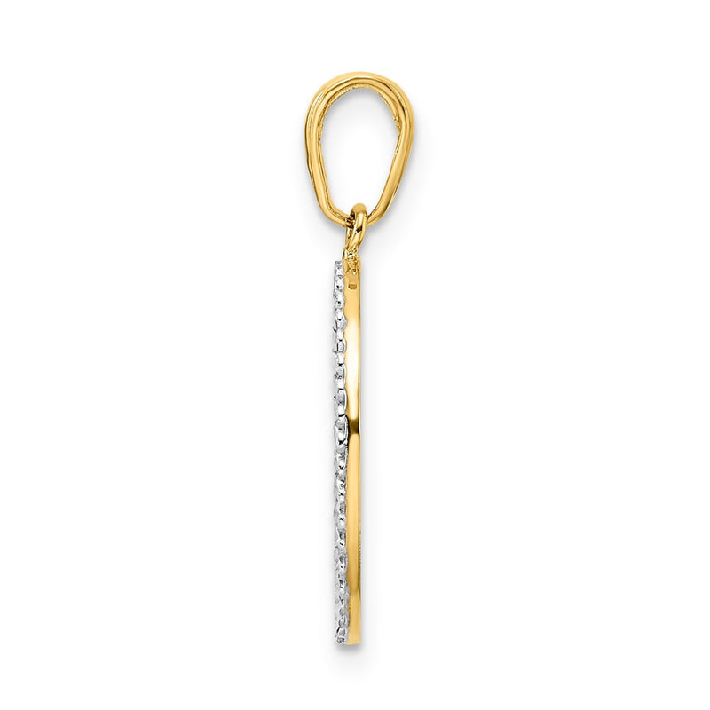 14K Yellow & Rhodium And White Diamond-Cut Dog In Oval Pendant