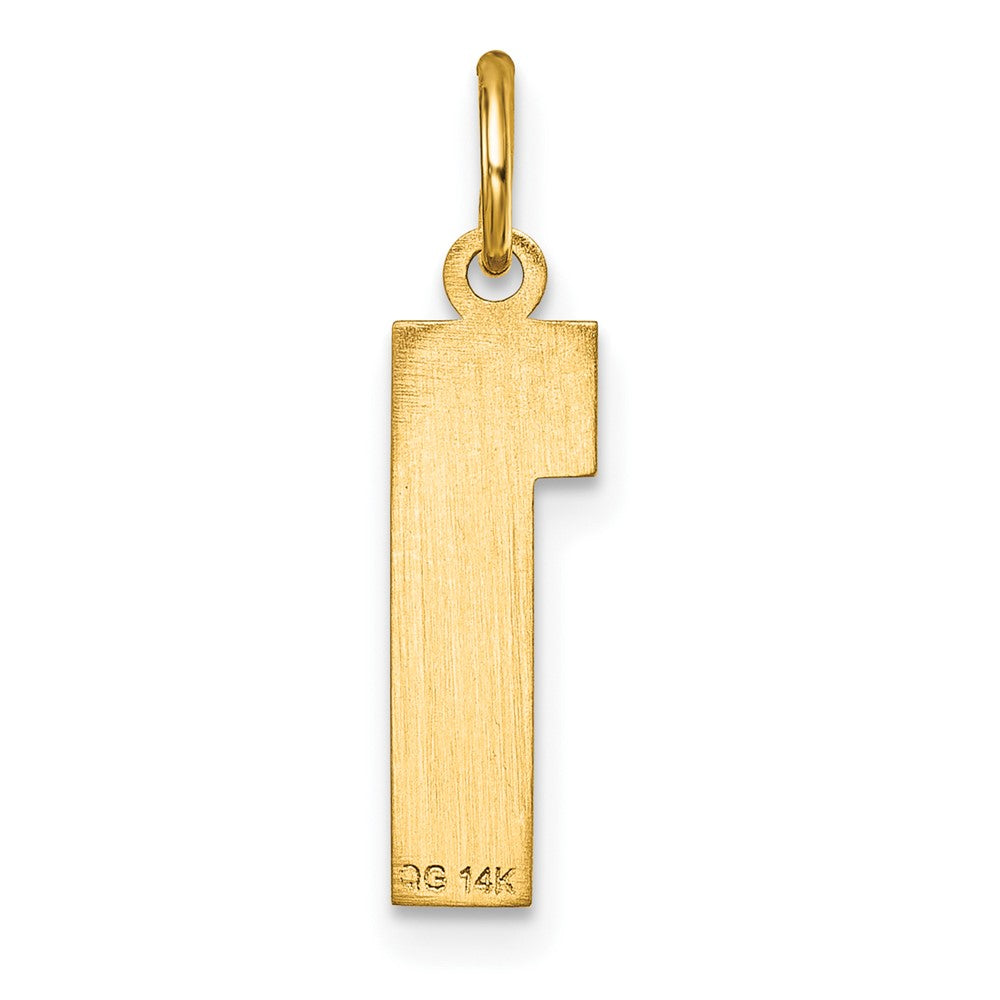 14K Yellow Gold Medium Diamond-Cut Number 1 Charm