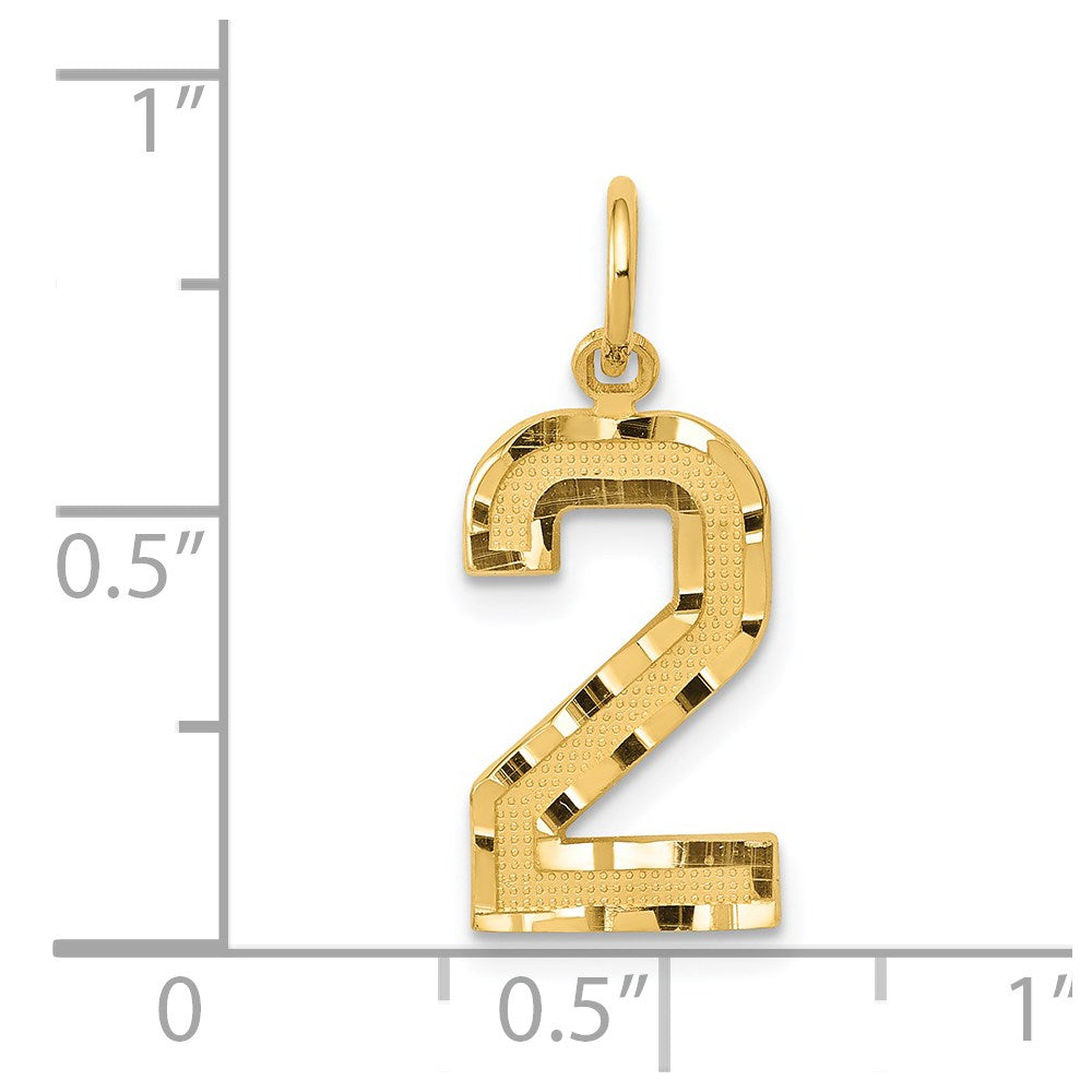 14K Yellow Gold Medium Diamond-Cut Number 2 Charm