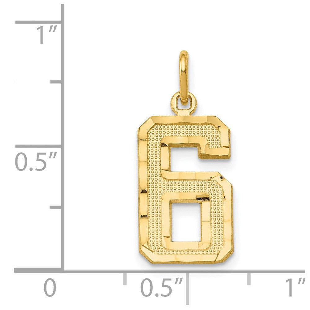 14K Yellow Gold Medium Diamond-Cut Number 6 Charm