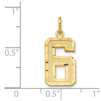 14K Yellow Gold Medium Diamond-Cut Number 6 Charm