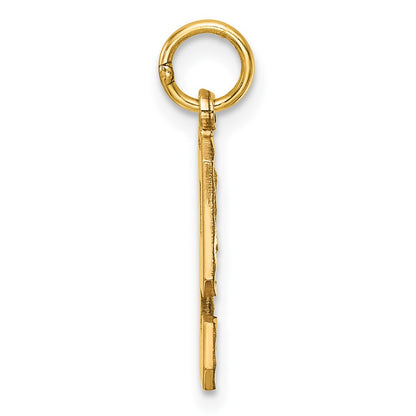 14K Yellow Gold Medium Diamond-Cut Number 9 Charm