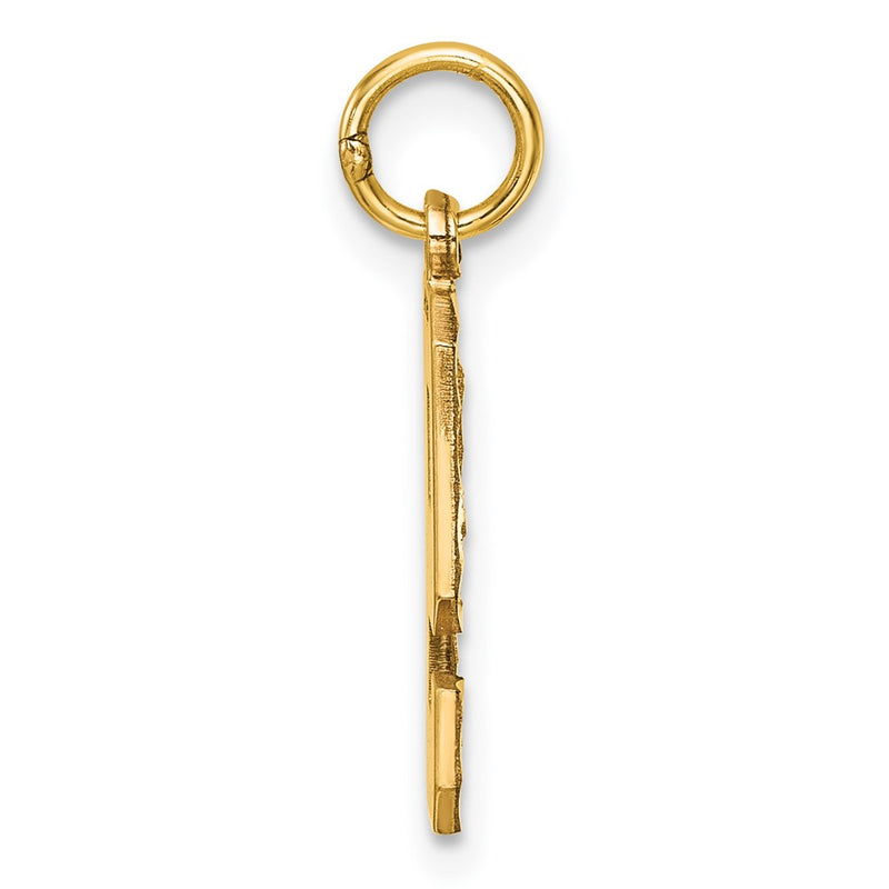 14K Yellow Gold Medium Diamond-Cut Number 9 Charm