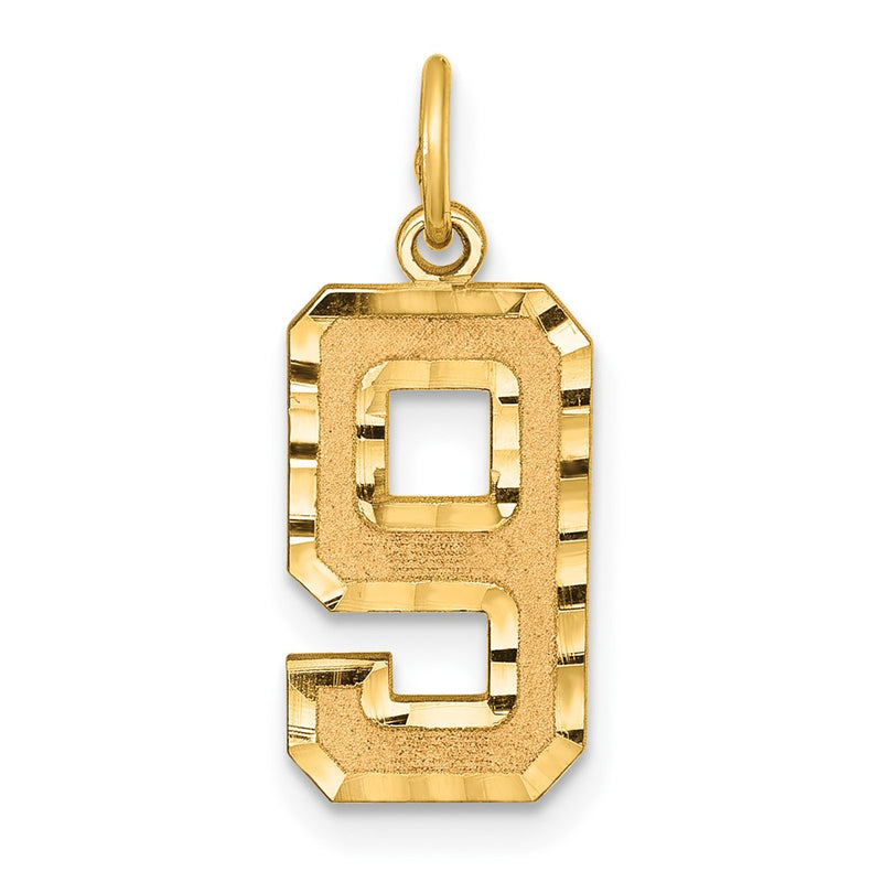 14K Yellow Gold Medium Diamond-Cut Number 9 Charm