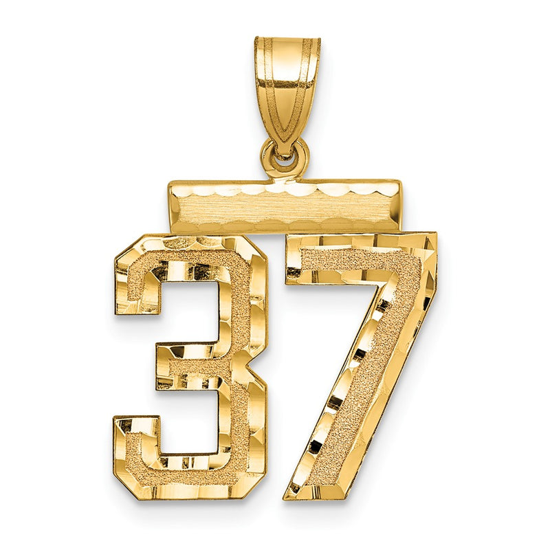 14k Yellow Gold Medium Diamond-cut Number 37 Charm