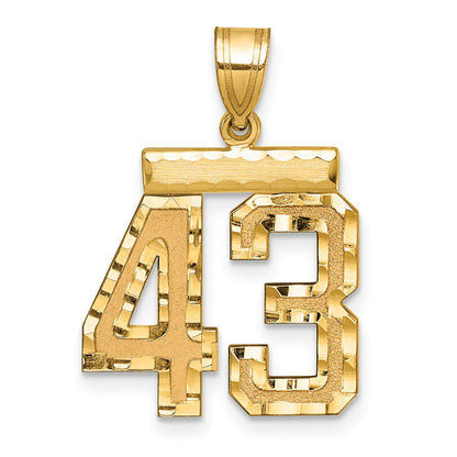14k Yellow Gold Medium Diamond-cut Number 43 Charm