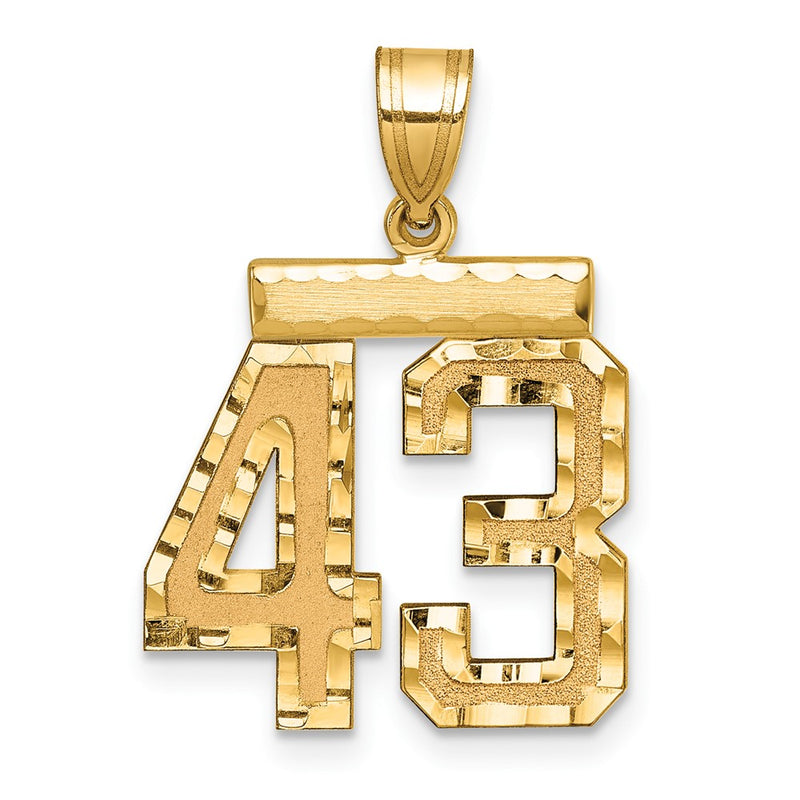 14k Yellow Gold Medium Diamond-cut Number 43 Charm