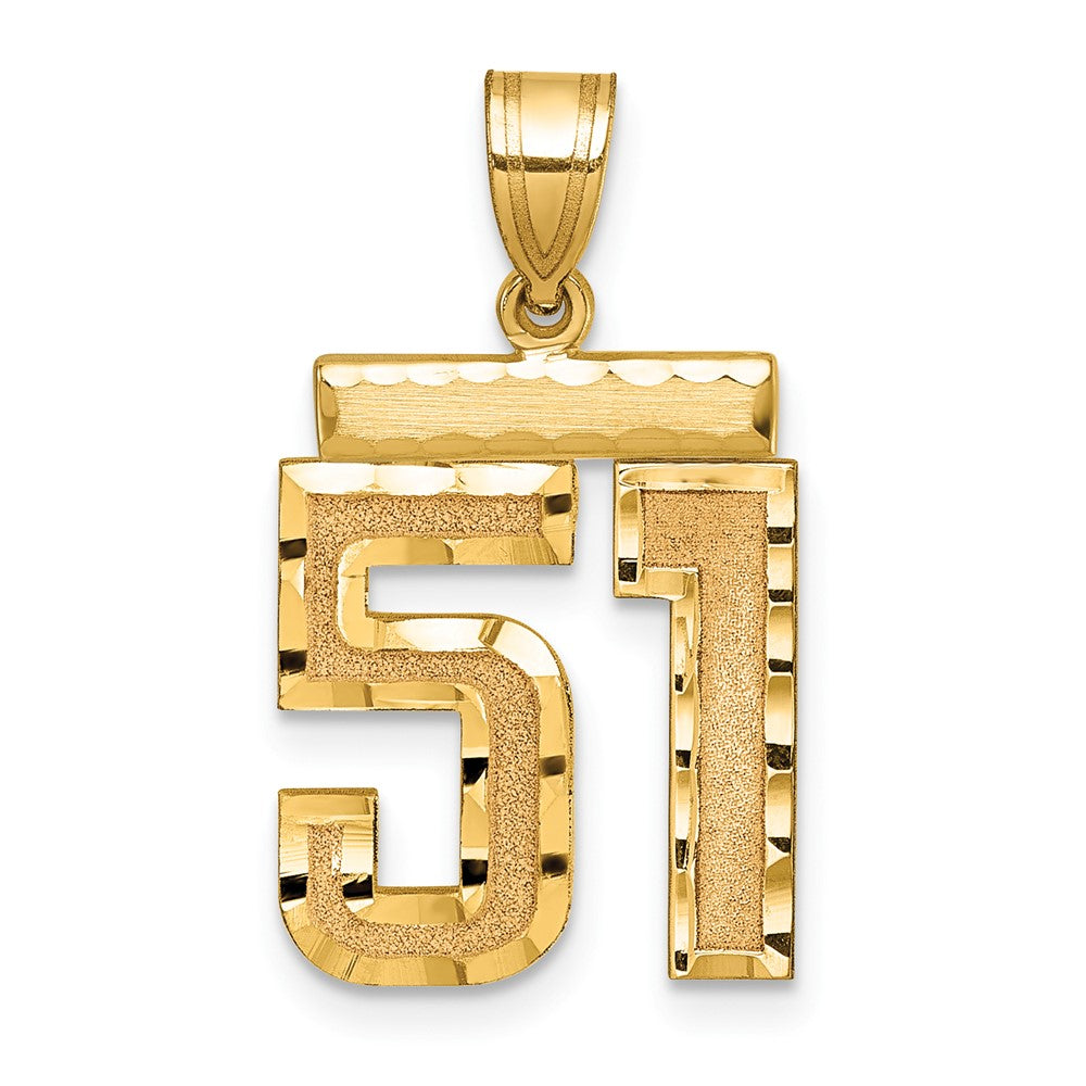 14k Yellow Gold Medium Diamond-cut Number 51 Charm