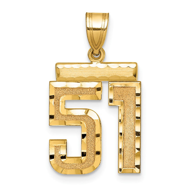 14k Yellow Gold Medium Diamond-cut Number 51 Charm