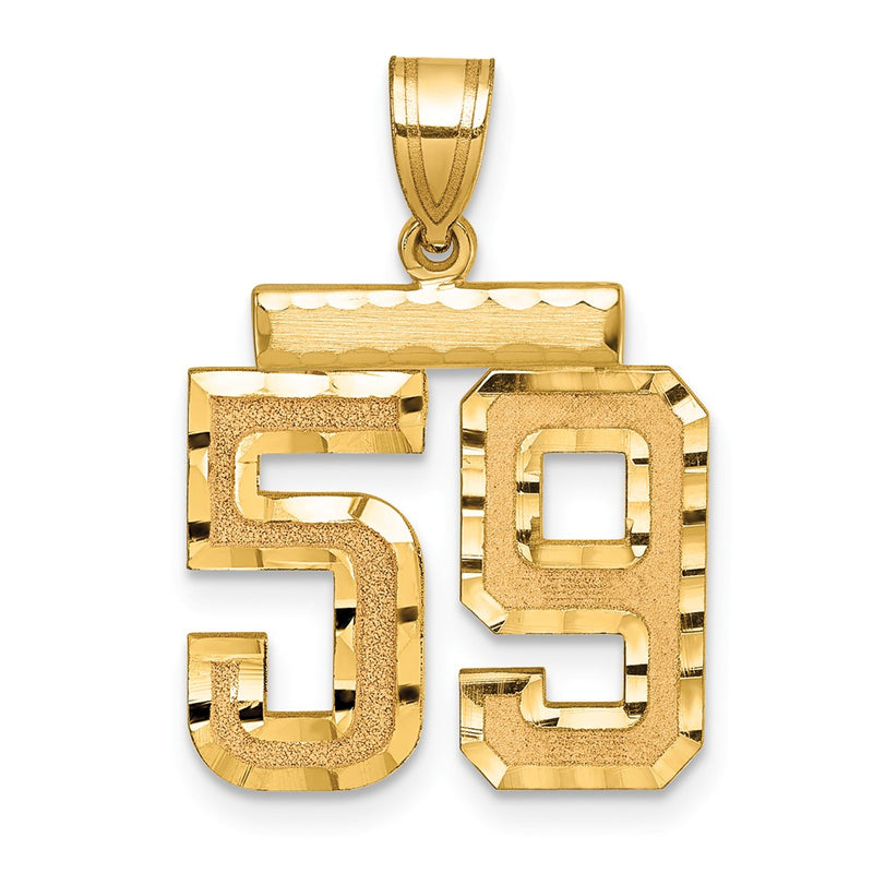 14k Yellow Gold Medium Diamond-cut Number 59 Charm