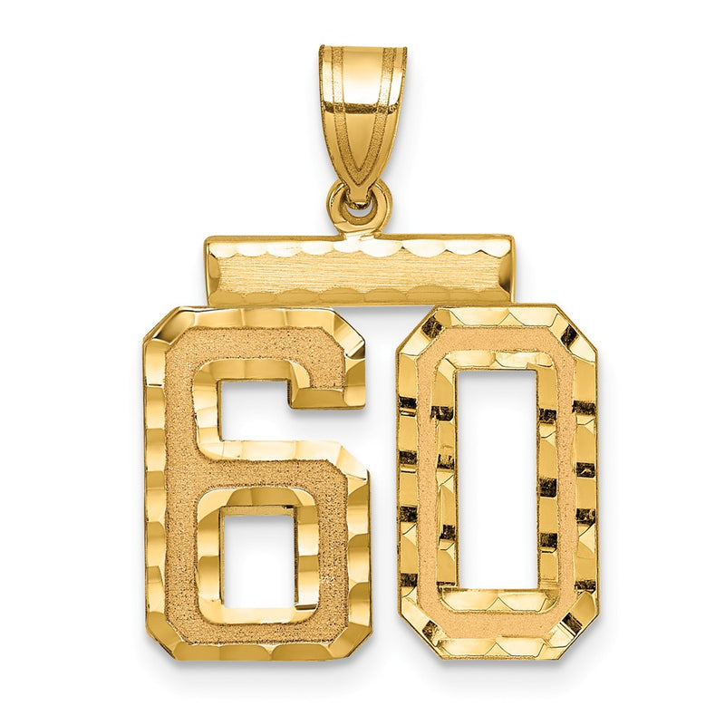 14k Yellow Gold Medium Diamond-cut Number 60 Charm