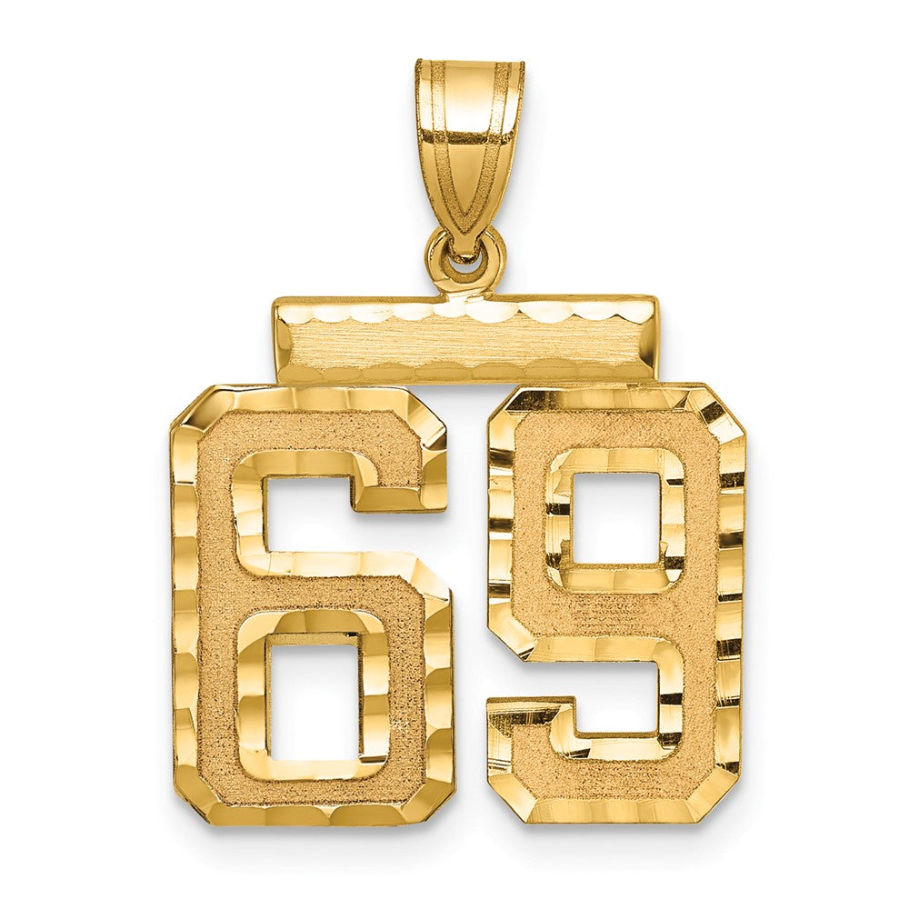 14k Yellow Gold Medium Diamond-cut Number 69 Charm