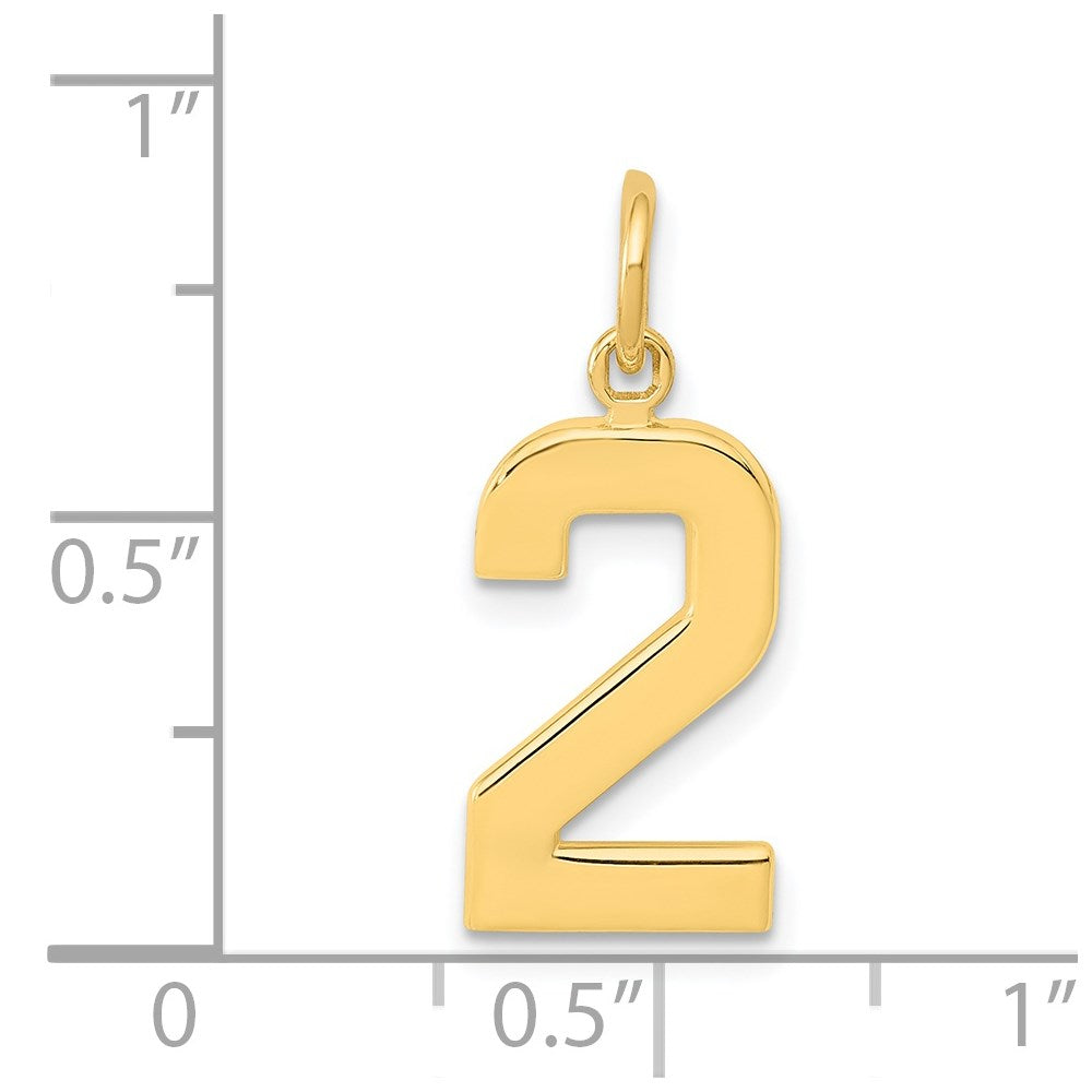 14K Yellow Gold Medium Polished Number 2 Charm