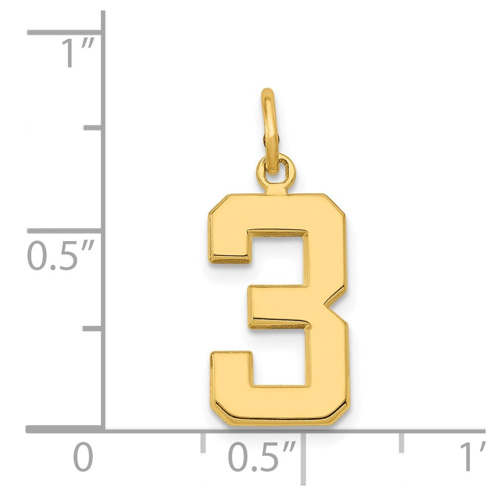 14K Yellow Gold Medium Polished Number 3 Charm