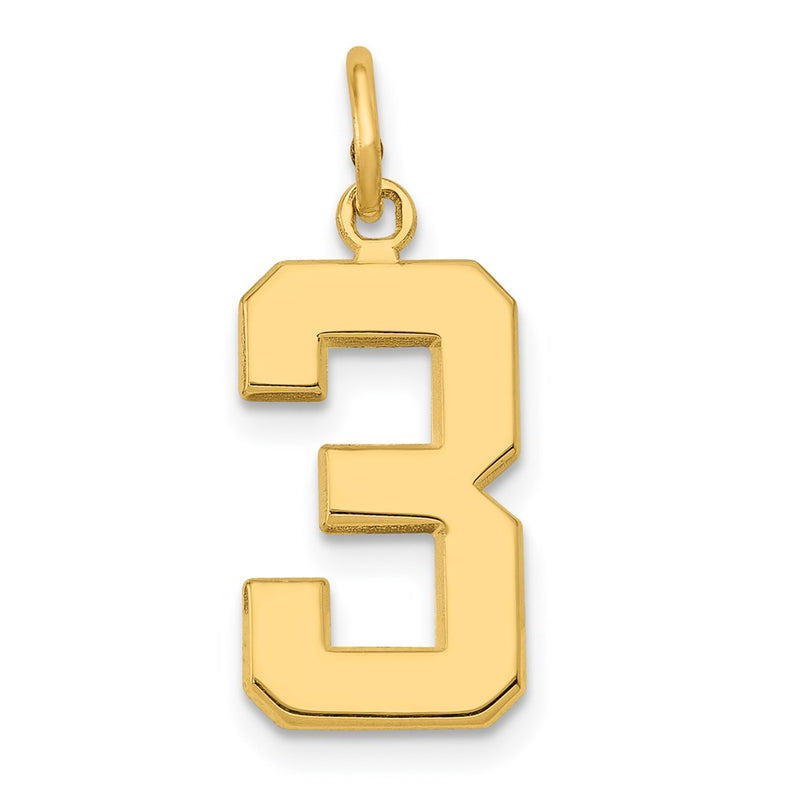 14K Yellow Gold Medium Polished Number 3 Charm