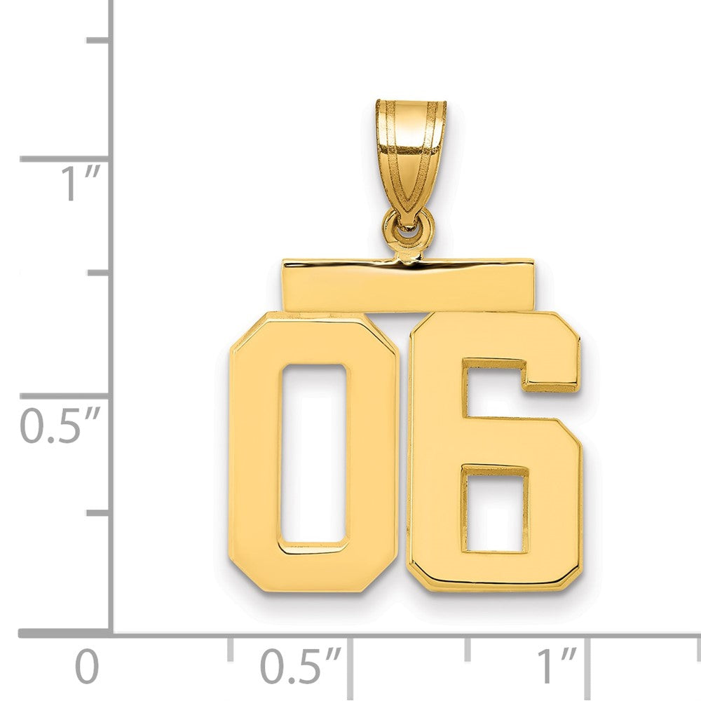 14k Yellow Gold Medium Polished Number 06 on Top Charm
