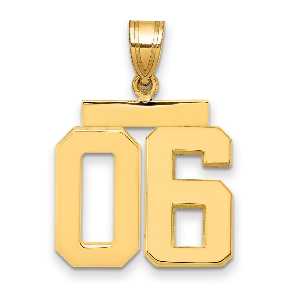 14k Yellow Gold Medium Polished Number 06 on Top Charm