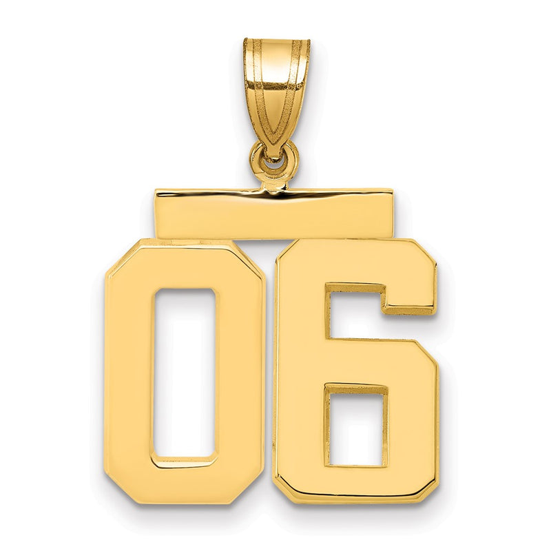 14k Yellow Gold Medium Polished Number 06 on Top Charm