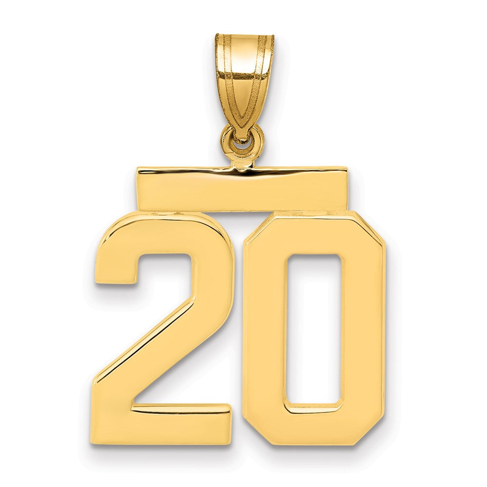 14k Yellow Gold Medium Polished Number 20 Charm