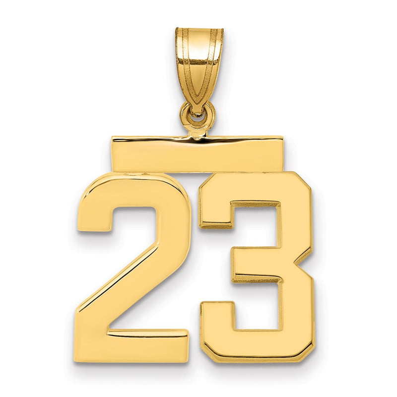 14k Yellow Gold Medium Polished Number 23 Charm