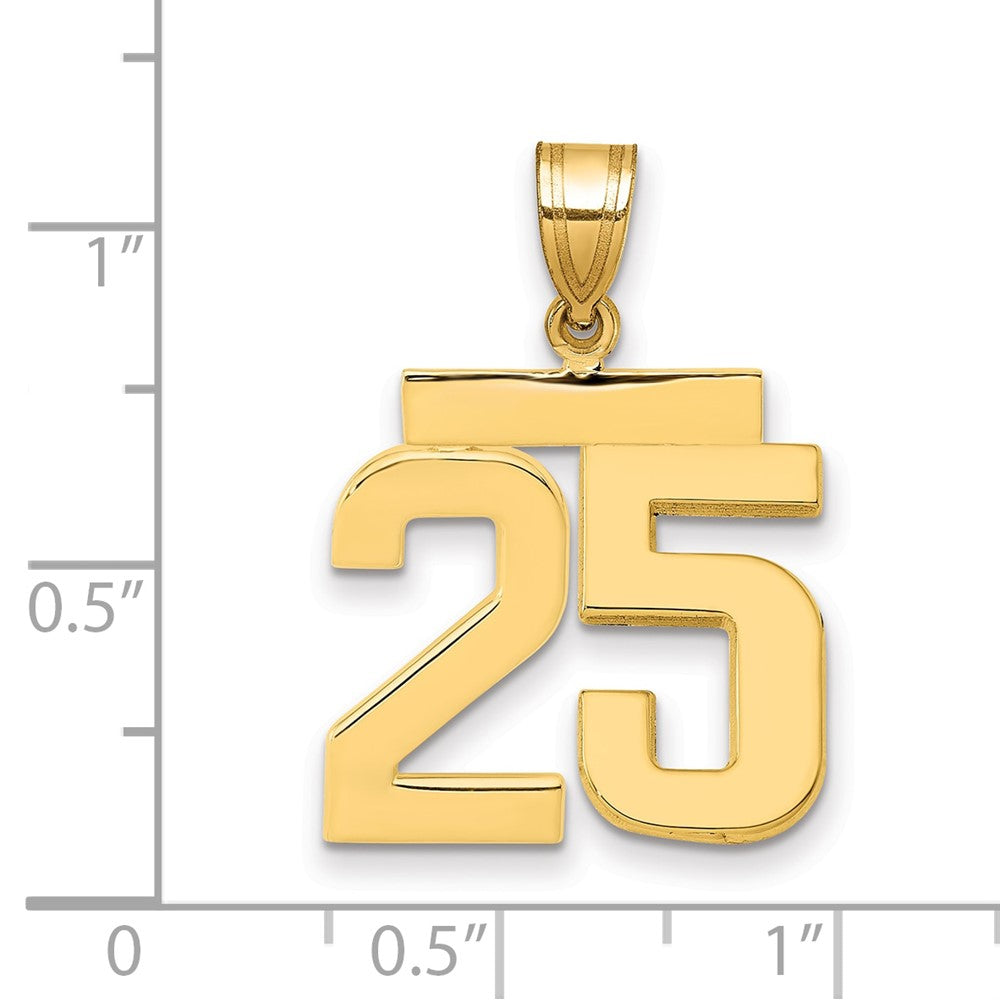 14k Yellow Gold Medium Polished Number 25 Charm