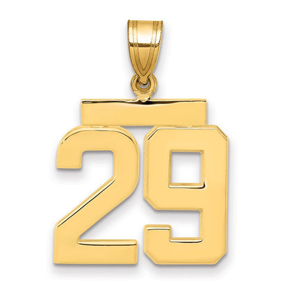 10K Yellow Gold Medium Polished Number 29 Charm