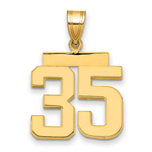 10K Yellow Gold Medium Polished Number 35 Charm