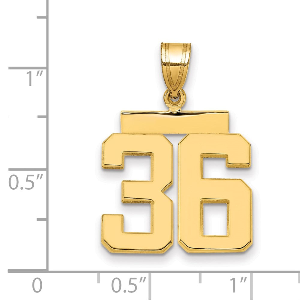 14k Yellow Gold Medium Polished Number 36 Charm