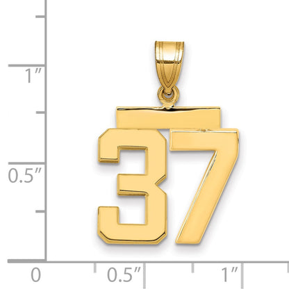 10K Yellow Gold Medium Polished Number 37 Charm