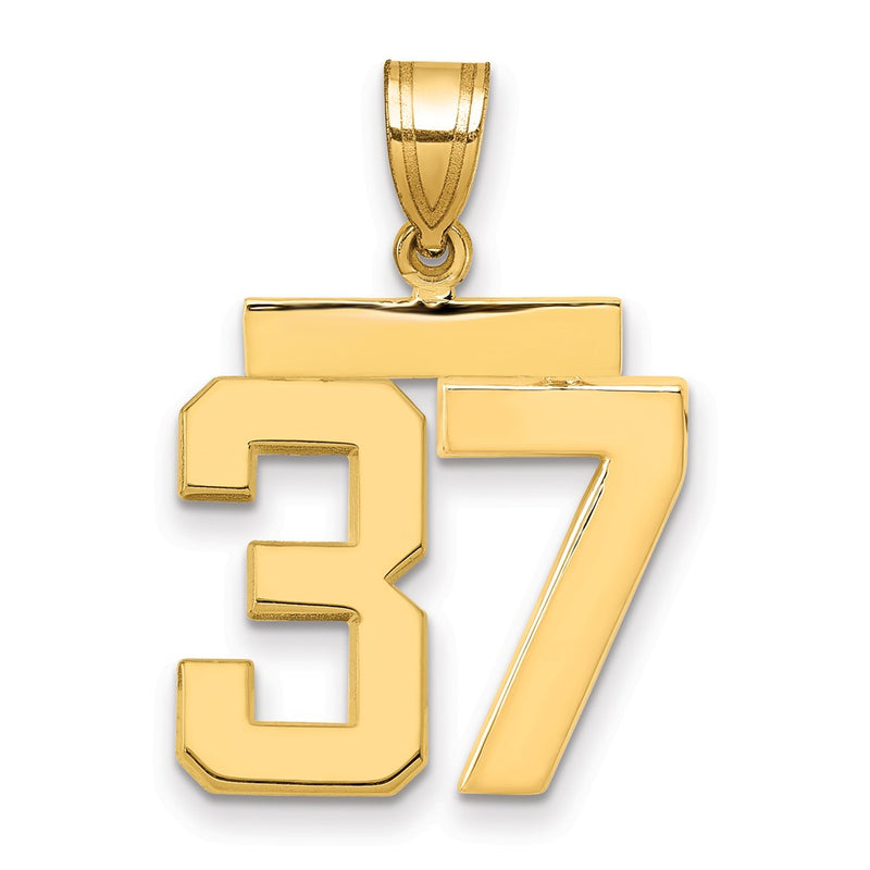 14k Yellow Gold Medium Polished Number 37 Charm