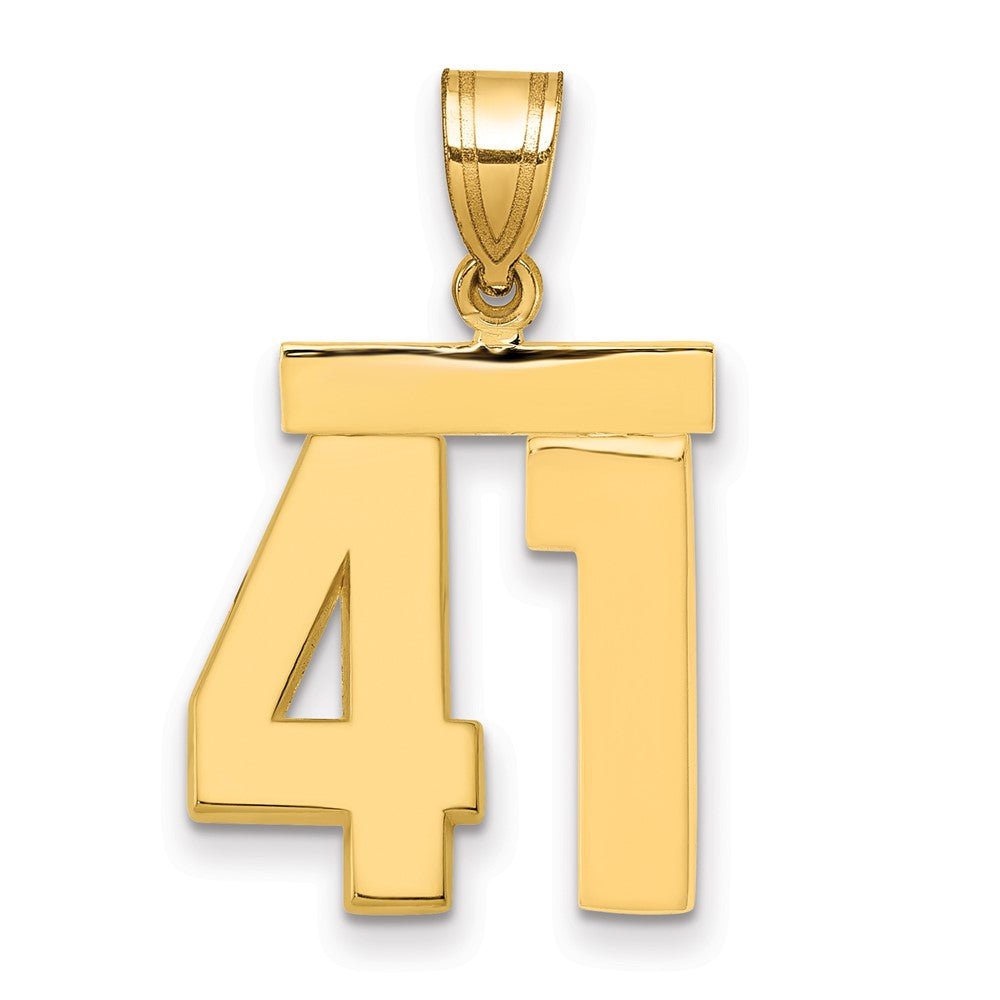 10K Yellow Gold Medium Polished Number 41 Charm